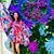 Carly Tremain Mazur's profile image