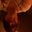 Amanda Parnell's profile image