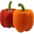 Scott Tillett's profile image