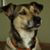 Christina Conaway's profile image