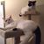 Carol Stegville's profile image