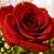 Cris Lopez's profile image