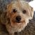 Opal Dahl's profile image