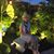 Lisa Hartman Frank's profile image