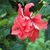 Kate Madore's profile image