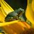 David Manuel's profile image
