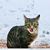 Leigha Erwin's profile image