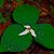 Kate Greencounter's profile image