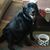 Suzy Darter's profile image