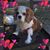 Christopher J Kent's profile image