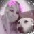 Alicia Boschert's profile image