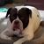 Linda Sue Lindsay's profile image