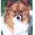 Joan Walsh's profile image