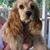 Michelle Dubay Wilson's profile image
