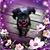 Becky Harrin's profile image
