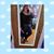 Kristen Hall's profile image