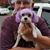 Sandy Serbanic Castleberry's profile image