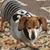 Virginia Weringer's profile image