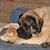 Linda Nagy's profile image