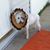 Cindy Anderson Young's profile image