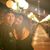 Carlos Silvia Venegas Gonzalez's profile image