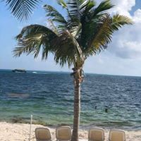 Joe Pashia's profile image