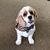 Bob Quesal's profile image