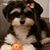 Donald Sullivan's profile image