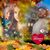 Joni Lynn Smith's profile image