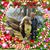 Dixie Lynch Norton's profile image