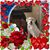 Margarita Munoz's profile image