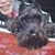 Gail M Arnoldi's profile image
