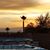 Debra Sherman's profile image