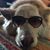 Mary Ann McGowan's profile image