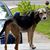 Cathy Wilson Oakley's profile image