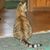 Carol Hillyer Scott's profile image
