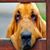 Terry Lorenz's profile image