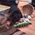 Betsy Wood Windle's profile image