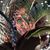 Tamara O'Meara's profile image