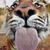 David McCloud's profile image