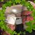 Patty Tarter's profile image