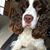 Kimberly Flint's profile image