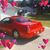 Daniel Pletzer's profile image