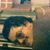 Nicholas Steven Ulakovic's profile image