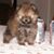 Aubrey Lauren Havelbeck's profile image