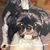 Gina N Michial Tittle's profile image