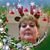 Denise Foster's profile image