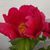 Nancy Martin Becker's profile image