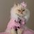 Rosemarie Arland's profile image