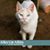 Linda Dennis's profile image